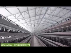 4 Layers A Frame Battery Type Chicken Cage For Eggs Production