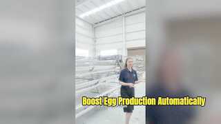 Υψηλής χωρητικότητας Poultry Layer Cage System for Modern Farming