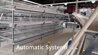 A Type Layer Cage: Μεγιστοποιήστε το κέρδος της φάρμας