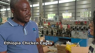 Ανατροφοδότηση πελατών