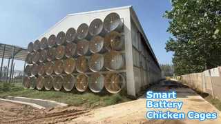 Υπόστεγο κοτόπουλου με στρώση περιβαλλοντικής ελεγχόμενης μπαταρίας