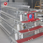 A Type Full Automatic Battery Chicken Cage Cold Galvanized For Farm