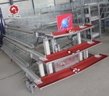 43*41Cm Full Automatic Battery Chicken Cage System U Type Galvanized Silver Color