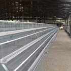 A Type Bigger Size Chicken Egg Layer Cages New Design