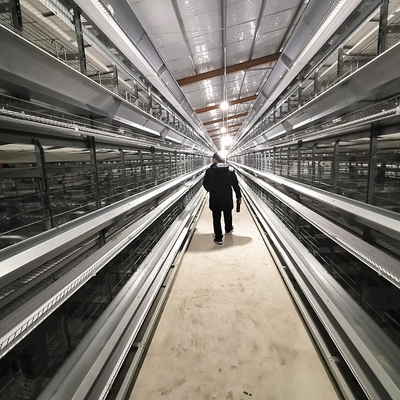H Type Layer Chicken Cage Automatic Poultry Equipment Battery Cage For Layer Chicken