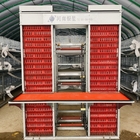 A Type Layer Battery Chicken Cages Automatic Poultry Zinc Cocating 275g / M2