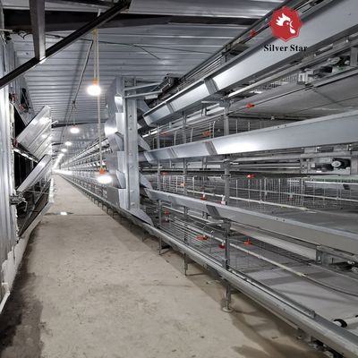 Automated H-Type Broiler Cage System with Hot-Dip Galvanizing for High-Density Farming & Automatic Manure Cleaning