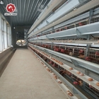 Welded Wire Egg Layer Chicken Cages Q235A H Type Hot Dipped Galvanized