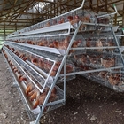 A Frame Hot Dipped Layer Battery Chicken Cage 4 Layers / Cell