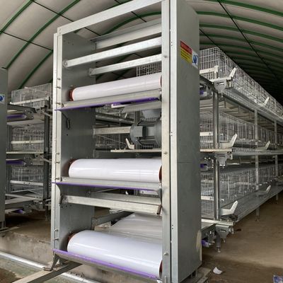 H-Type Automatic Layer Battery Cage System 15-20 Year Service Life Fully Automated Hot-Dip Galvanized for Poultry Farming