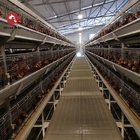 Poultry Farm Battery Chicken Cage Equipment 96 Birds / Set