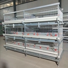 Poultry Farm Battery Chicken Cage Equipment 96 Birds / Set