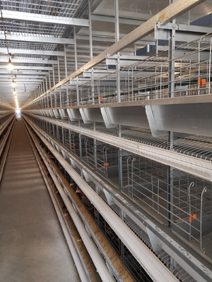 H Type Layer Chicken Cage Automatic Poultry Equipment Battery Cage For Layer Chicken