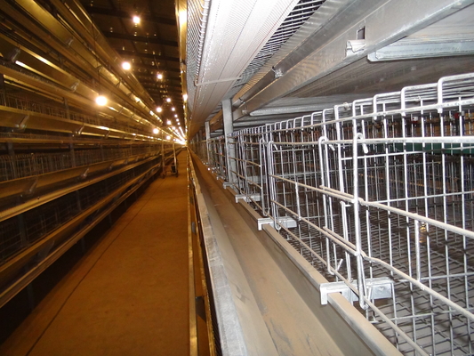 H Type Layer Chicken Cage Automatic Poultry Equipment Battery Cage For Layer Chicken