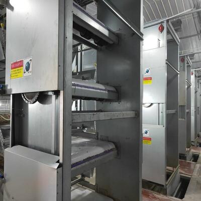 Hot-Dip Galvanized Steel Battery Layer Cages with Full Automatic System for Large Poultry Farm Project