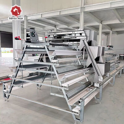 Cost-Effective A-Type Layer Battery Cage System with Excellent Ventilation for 3-Tier/4-Tier Poultry Farms