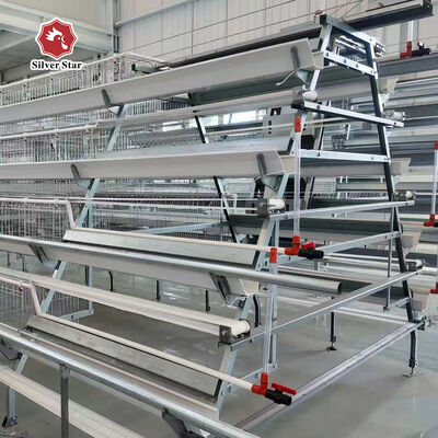 Cost-Effective A-Type Layer Chicken Cage System with 3-Tier/4-Tier Design, Hot-Dip Galvanized Steel, and Automatic Feeding for Poultry Farms