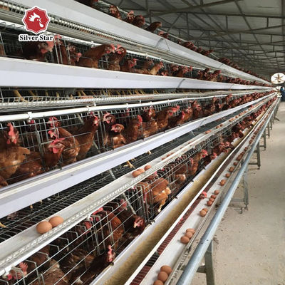 A Type Layer Egg Laying Chicken Cage 160 Birds With Automatic Feeding System