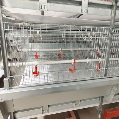 Automated H-Type Broiler Cage System Hot Dip Galvanized High Density Full Automatic Poultry Farming Equipment