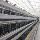 108 chickens High Brood Survival Rate Broiler Cage System For Little Chick