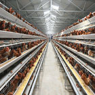 H Shaped Small Stacked Layer Chicken Cage Can Be Customized