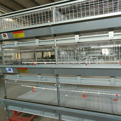 Commercial H Type Broiler Cage System for Large Scale Poultry Farms