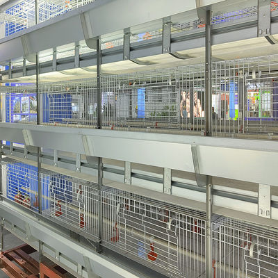 Automated H-Type Broiler Cage System - High-Density Hot-Dip Galvanized Poultry Farming Equipment