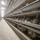 Q235 Poultry Farm Cage