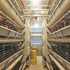 Zinc-Alu Automatic Feeding Machine For Poultry , SGS 1.2mm Broiler Feeding System