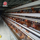 H Shaped Small Stacked Layer Chicken Cage Can Be Customized