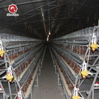 Agricultural Equipment Used Broiler Chicken Cage 180 Birds For Breeders