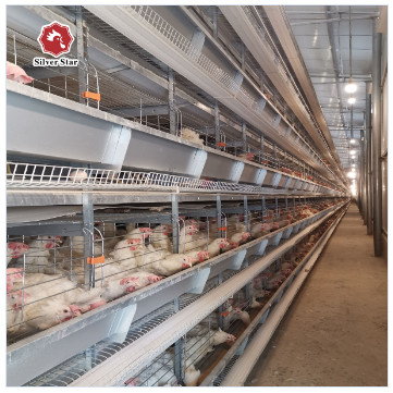 Poultry Agricultural Products Chicken Layer Cage For Broilers And Chicks