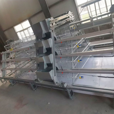Hot Galvanized A Type Broiler Baby Chick Cage  For Automatic Rearing