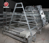 Meat Battery Cage Baby Chick Cage For Chicken Farm