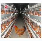 U Type Q235 Metal Cage For Chickens , 3-8 Tiers H Type Poultry Chicken Cage