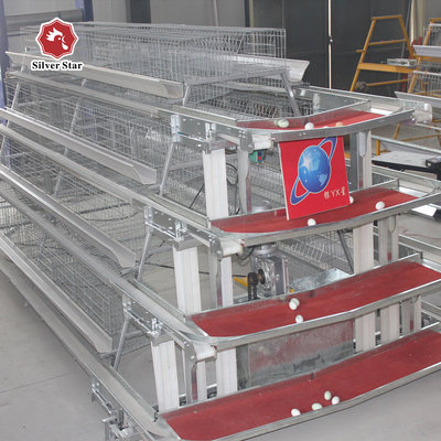 A Type Full Automatic Battery Chicken Cage Cold Galvanized For Farm