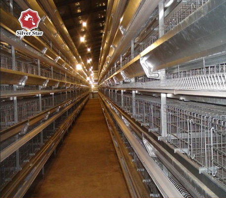 H Type Egg Layer Chicken Cage Automatic Poultry Equipment