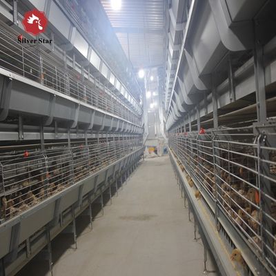 Automated H-Type Broiler Cage System - Full Automatic Hot Galvanized High-Density Poultry Farming Equipment