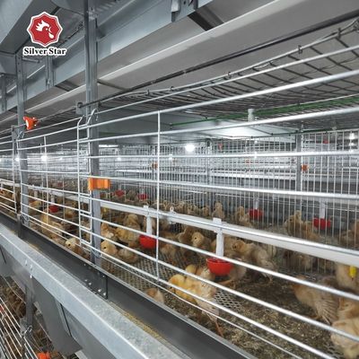 Συστήματα κυψελών με μπαταρίες για στρώματα Αυτοματοποιημένο εξοπλισμό πουλερικών