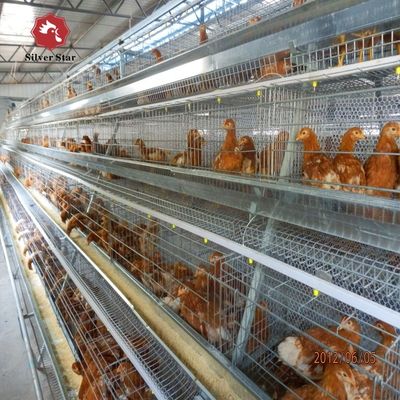 Συστήματα κυψελών μπαταριών για κοτόπουλα τύπου Α