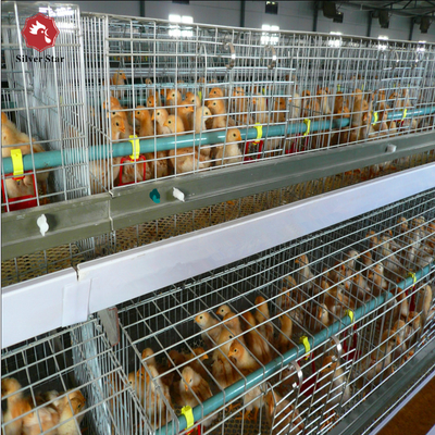 Big Size 85*62.5*50Cm Broiler Chicken Cage H Type Anti Corrosion