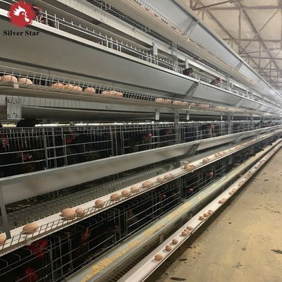 Τύπος H στρώμα κλουβί με θερμή γαλβανισμό & αυτόματη τροφή για μεγάλα έργα εκτροφής πουλερικών