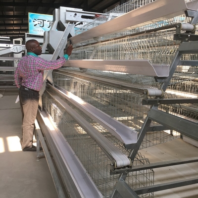 A Type Stainless Steel Chicken Cage Hot Galvanized Or Cold Galvanized