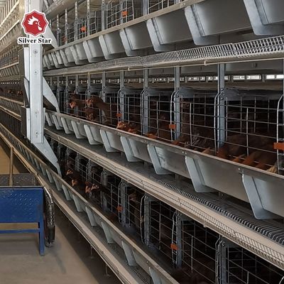 Συστήματα κλουβιών ηλεκτρικής μπαταρίας αυτοματοποιημένου στρώματος τύπου H για εμπορικές εκτροφικές μονάδες πουλερικών - Ζεστό γαλβανισμένο, αυτοματοποιημένη συλλογή αυγών, διάρκεια ζωής 15-20 ετών