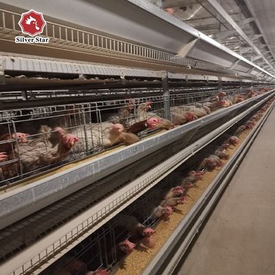 Σύστημα κλωβών κοτόπουλων τύπου Η | Αυτόματος εξοπλισμός πουλερικών για εμπορικά πτηνοτροφεία αυγών