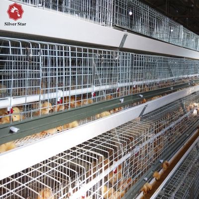 Συστήματα αυτοματοποιημένων κλουβιών για κοτόπουλα τύπου H για εμπορικές εκμεταλλεύσεις πουλερικών