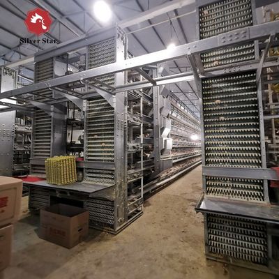 Αυτόματο σύστημα κλουβιών με μπαταρία για κοτόπουλα τύπου H για εμπορικές εκμεταλλεύσεις κοτόπουλων με κρέας
