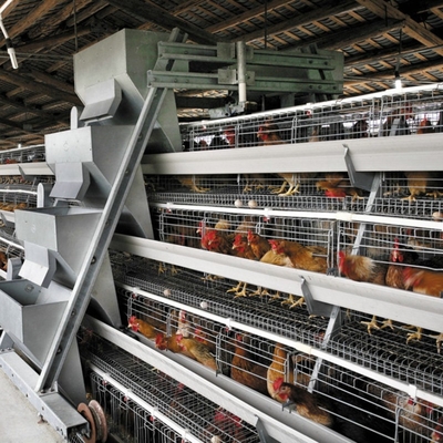 Battery 50000 Layers 5 Tier Broiler Cage System HDG Steel Material