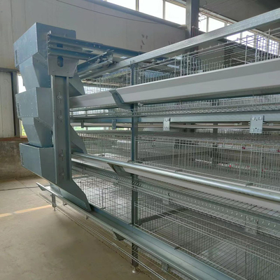 H Type Chicken Farm Battery Cages Dubai Large Scale Laying Hens 275g / M2