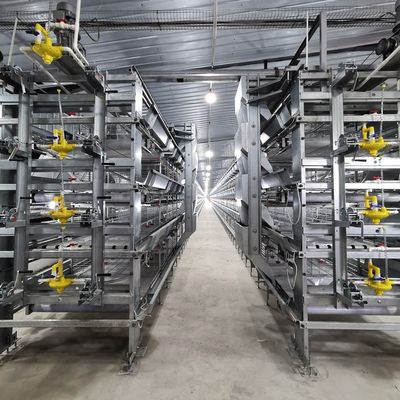 Εξοπλισμός εκτροφής πουλερικών Τύπος H Αυτοματοποιημένο σύστημα μπαταρία Κοτόπουλο κλουβί